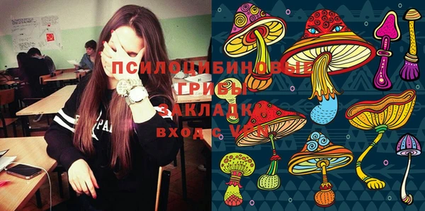 МДПВ Волосово