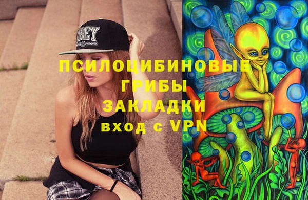 СК Волоколамск