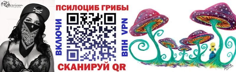 Купить где  Гусиноозёрск  Галлюциногенные грибы Magic Shrooms 